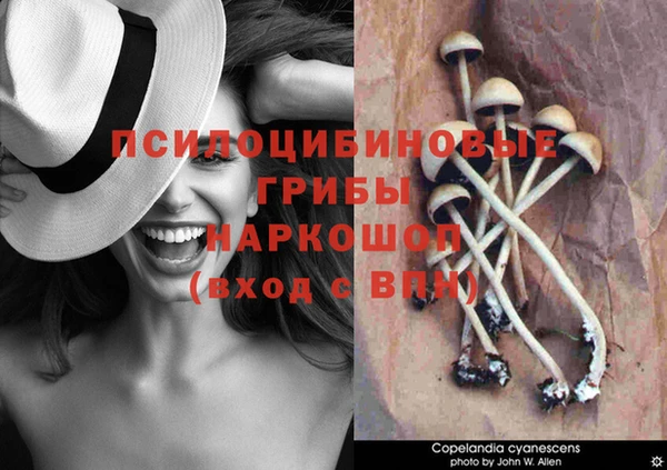 ешки Бугульма