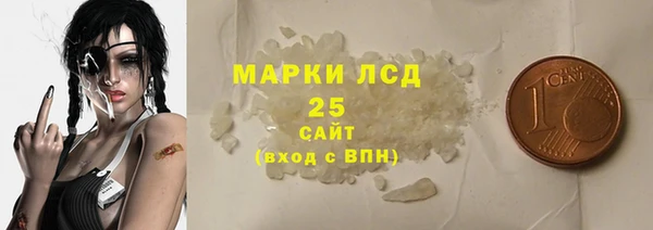 твердый Бородино