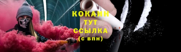 твердый Бородино