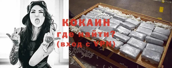 твердый Бородино