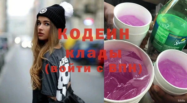 твердый Бородино