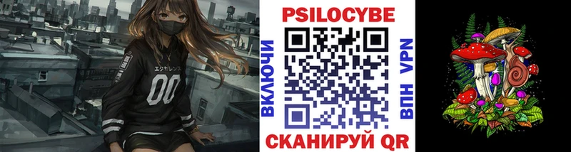 mega tor  Туран  Галлюциногенные грибы мицелий 